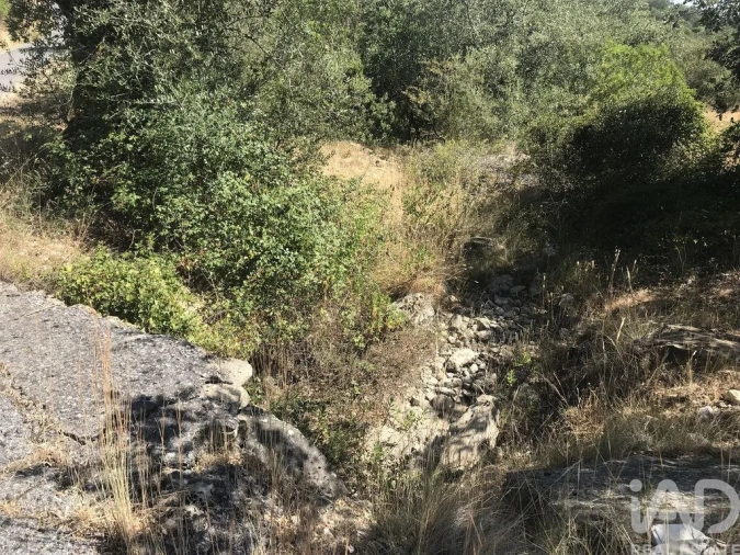 Terreno para Venda em Além da Ribeira e Pedreira Foto 5