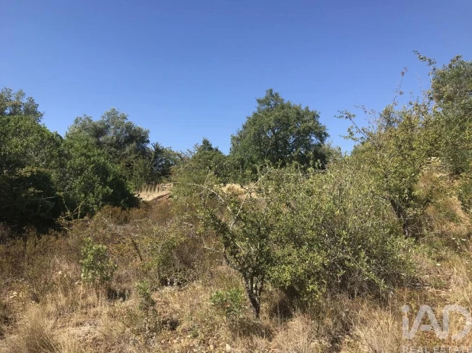 Terreno para Venda em Além da Ribeira e Pedreira Foto 2
