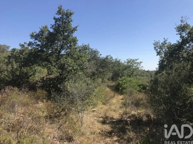 Terreno para Venda em Além da Ribeira e Pedreira Foto 24