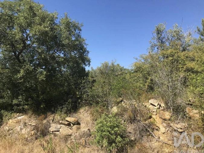Terreno para Venda em Além da Ribeira e Pedreira Foto 34