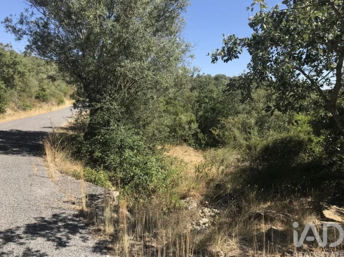 Terreno para Venda em Além da Ribeira e Pedreira Foto 4