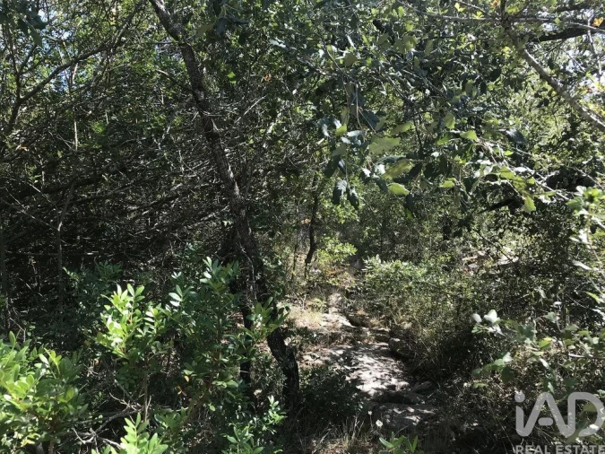 Terreno para Venda em Além da Ribeira e Pedreira Foto 14