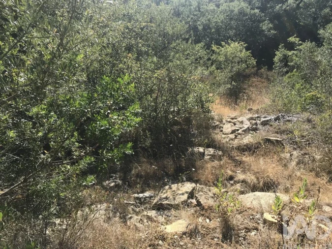 Terreno para Venda em Além da Ribeira e Pedreira Foto 13
