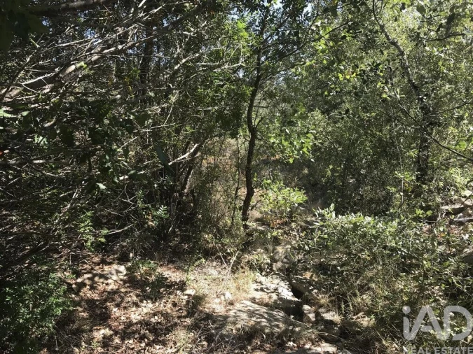 Terreno para Venda em Além da Ribeira e Pedreira Foto 16