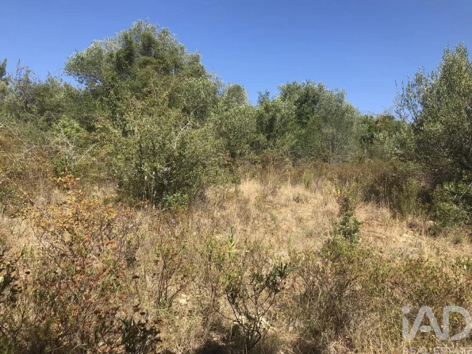 Terreno para Venda em Além da Ribeira e Pedreira Foto 21