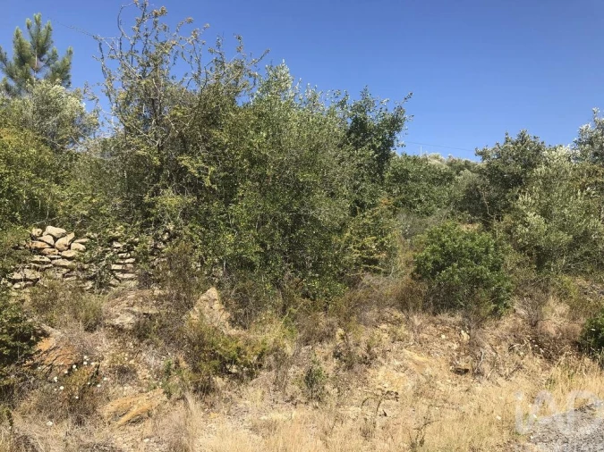 Terreno para Venda em Além da Ribeira e Pedreira Foto 35