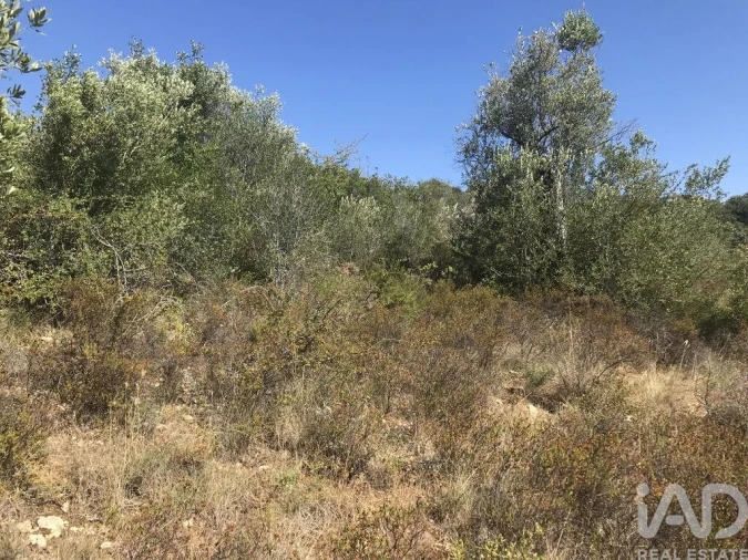 Terreno para Venda em Além da Ribeira e Pedreira Foto 32