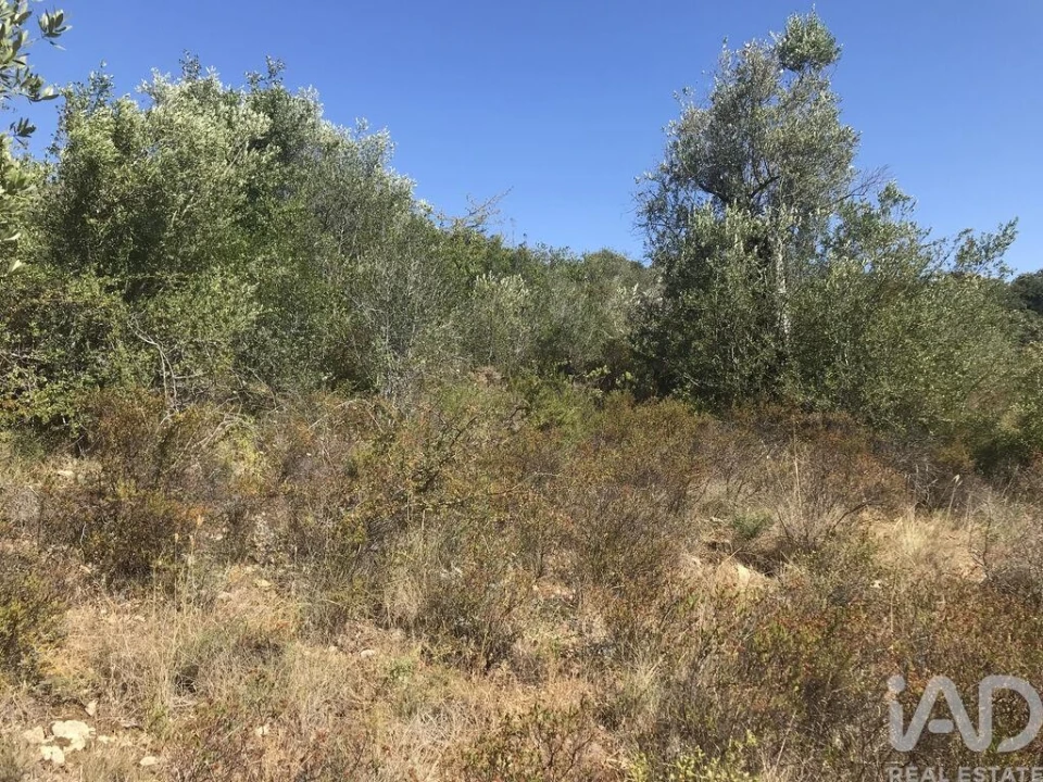 Terreno para Venda em Além da Ribeira e Pedreira Foto 32