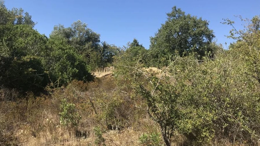 Terreno para Venda em Além da Ribeira e Pedreira