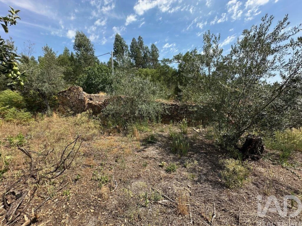 Moradia para Venda em Graça Foto 5