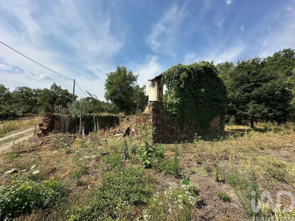 Moradia para Venda em Graça Foto 7