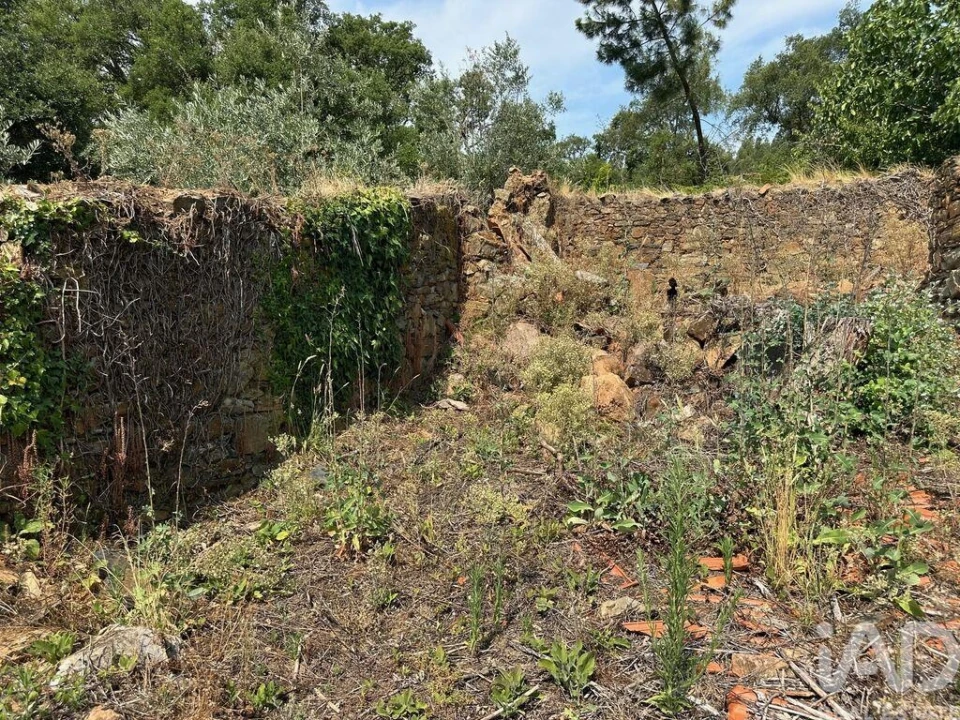 Moradia para Venda em Graça Foto 14