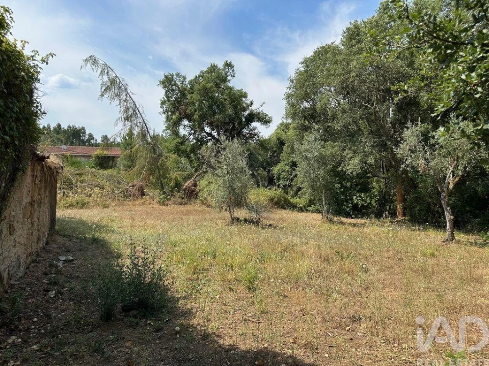 Moradia para Venda em Graça Foto 3