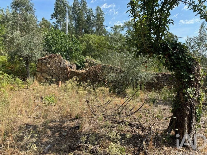 Moradia para Venda em Graça Foto 4