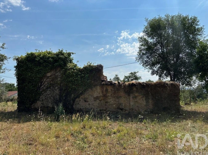 Moradia para Venda em Graça Foto 2