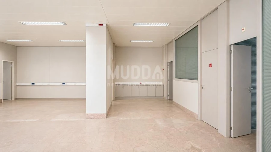 Prédio para Venda em Ovar, São João, Arada e São Vicente de Pereira Jusã Foto 6
