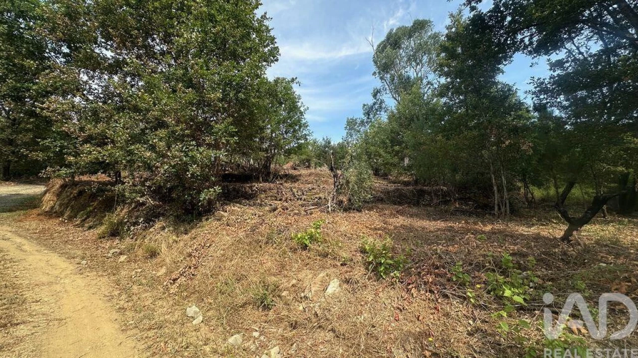 Terreno para Venda em Graça Foto 18