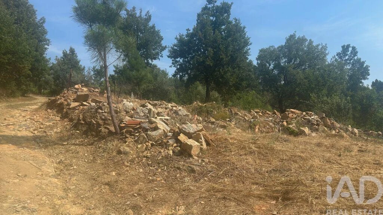 Terreno para Venda em Graça Foto 24