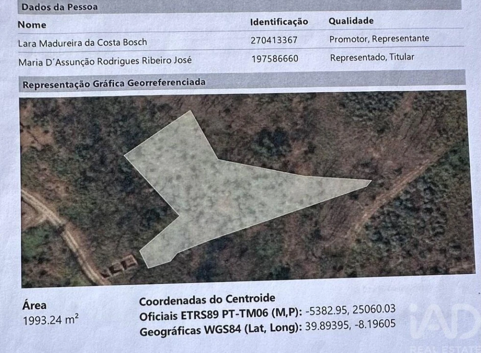 Terreno para Venda em Graça Foto 8