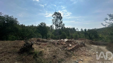Terreno para Venda em Graça