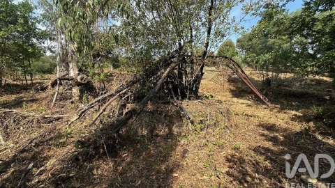 Terreno para Venda em Graça