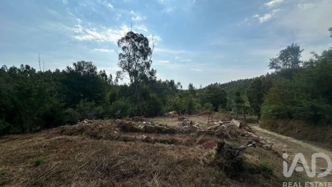 Terreno para Venda em Graça