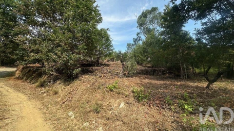 Terreno para Venda em Graça