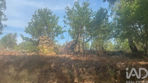 Terreno para Venda em Graça