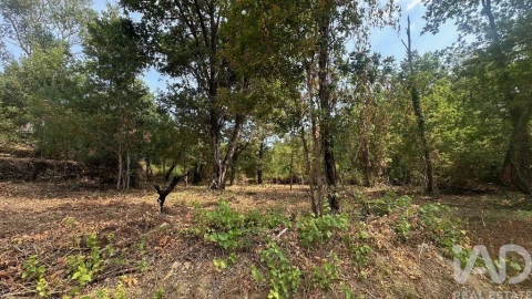 Terreno para Venda em Graça