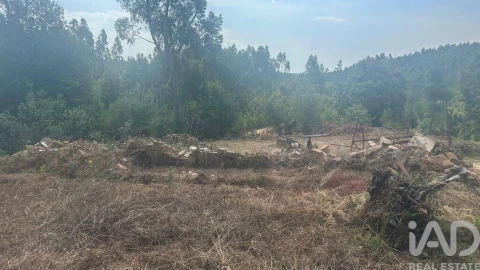 Terreno para Venda em Graça