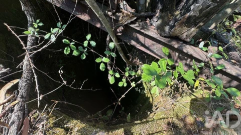 Terreno para Venda em Graça