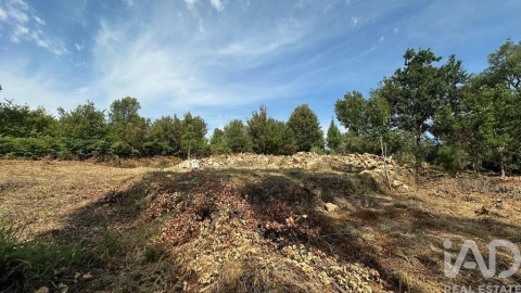 Terreno para Venda em Graça