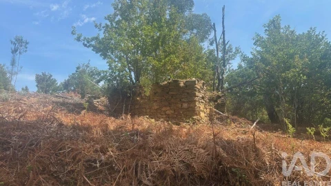 Terreno para Venda em Graça