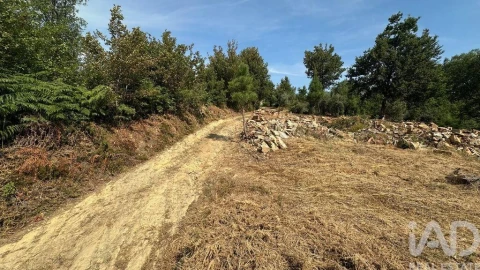 Terreno para Venda em Graça