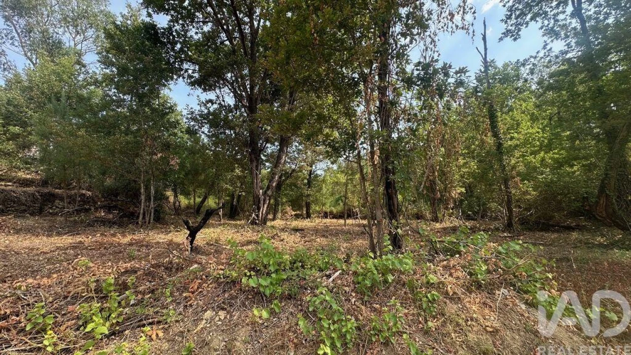 Terreno para Venda em Graça Foto 19
