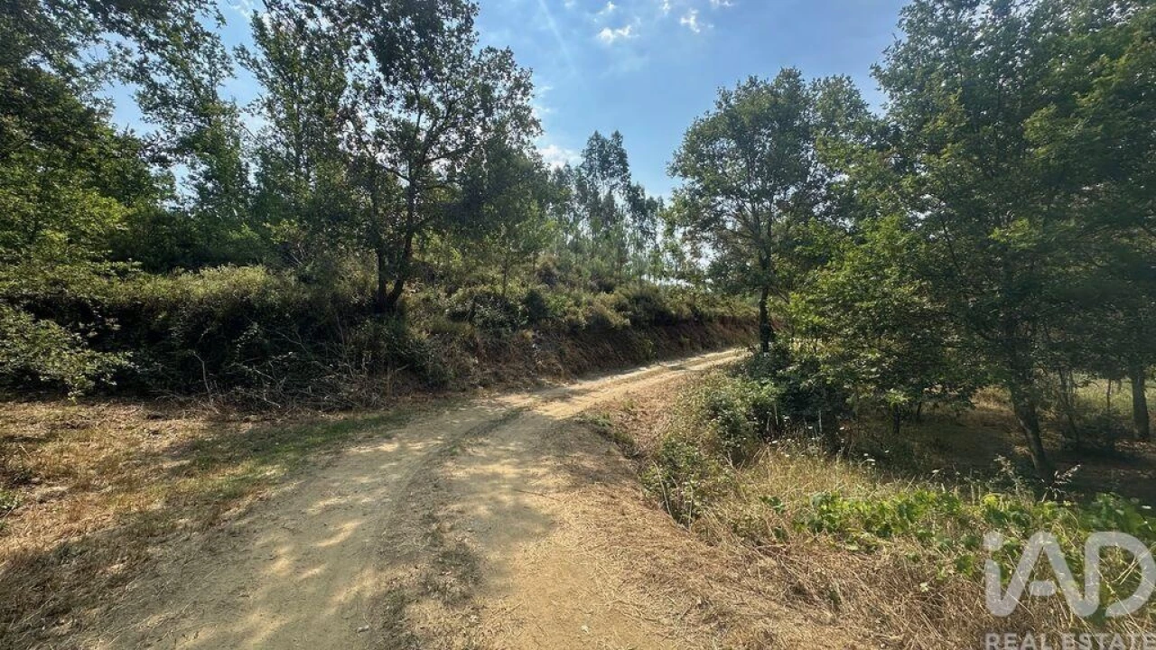 Terreno para Venda em Graça Foto 20