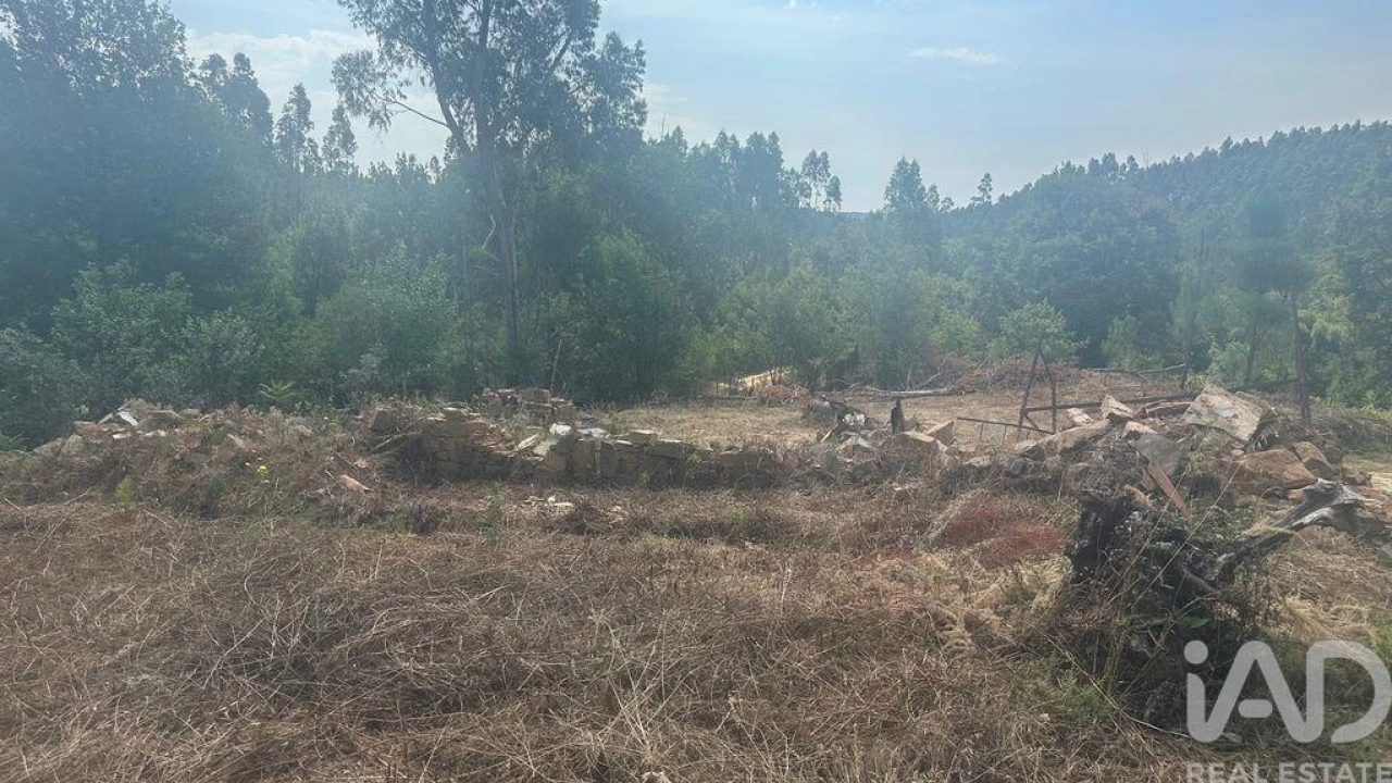 Terreno para Venda em Graça Foto 13