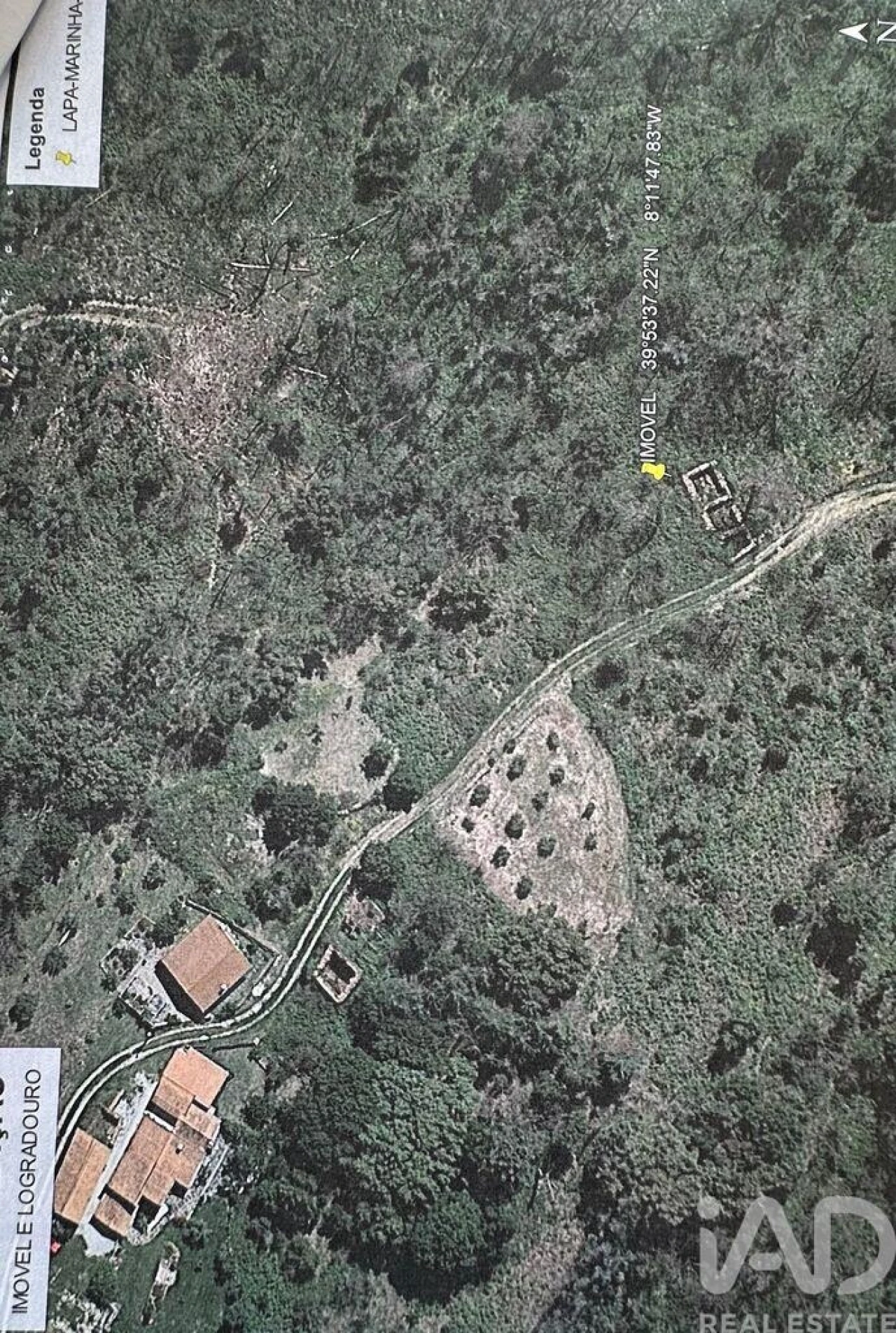 Terreno para Venda em Graça Foto 2