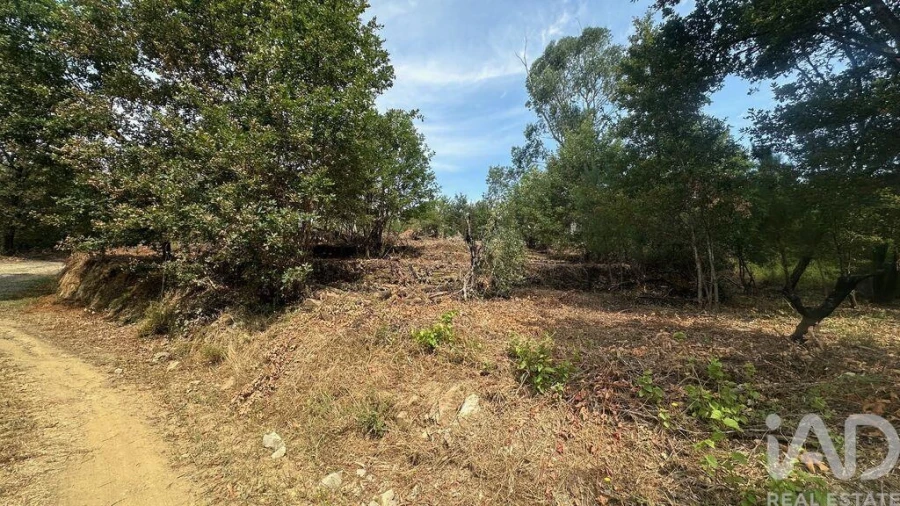 Terreno para Venda em Graça Foto 18