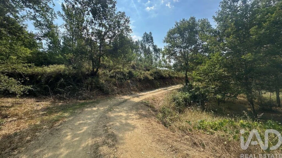 Terreno para Venda em Graça Foto 20