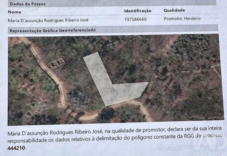 Terreno para Venda em Graça Foto 9