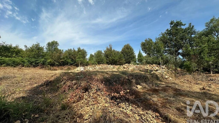 Terreno para Venda em Graça Foto 16