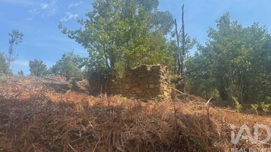 Terreno para Venda em Graça Foto 23