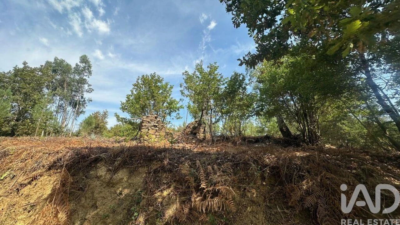 Terreno para Venda em Graça Foto 21