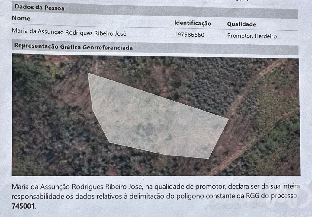 Terreno para Venda em Graça Foto 5