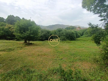 Terreno para Venda em Carvalheira