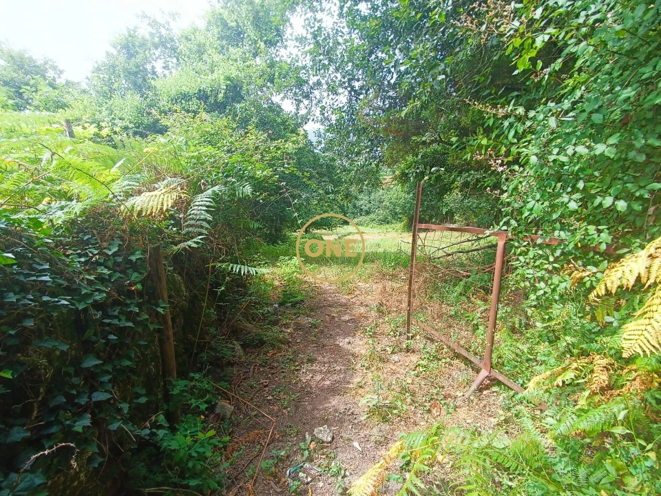 Terreno para Venda em Carvalheira Foto 7