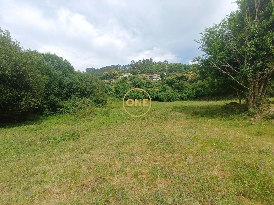 Terreno para Venda em Carvalheira Foto 2