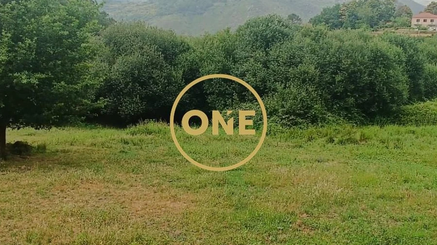 Terreno para Venda em Carvalheira