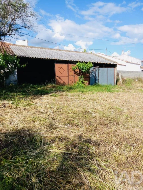 Terreno para Venda em Pedrogão